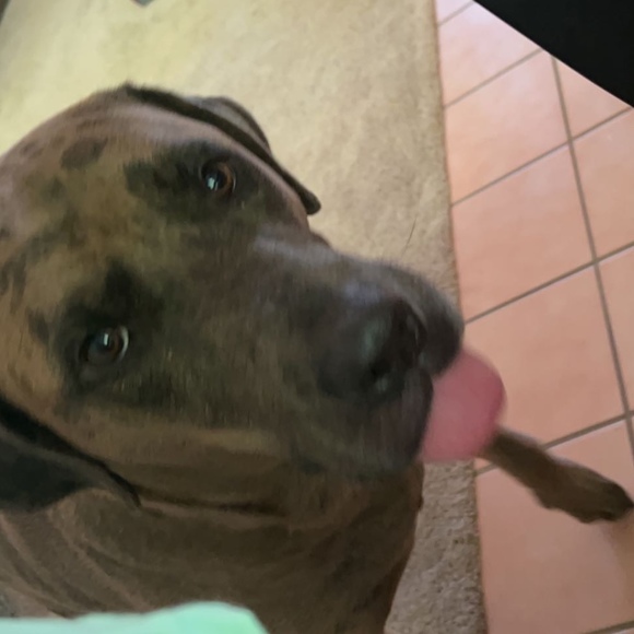 Meet your Posher, Lesly - Picture 1 of 1